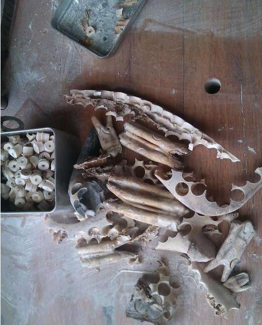 用牛骨代替人骨制作的嘎巴拉佛珠，这东西估计很多人没见过吧
